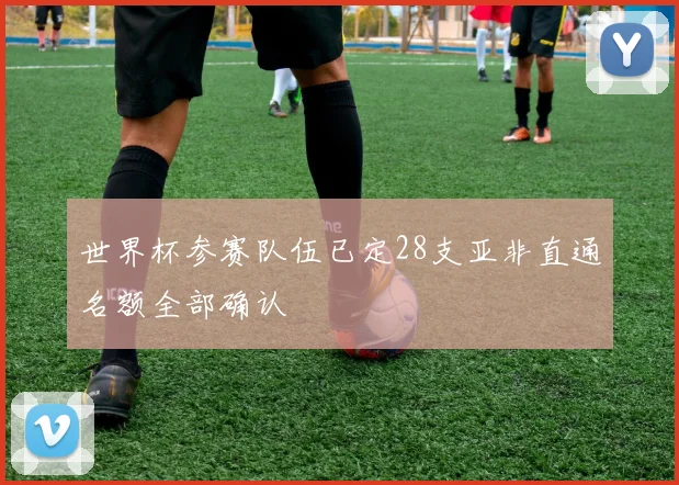 世界杯参赛队伍已定28支亚非直通名额全部确认