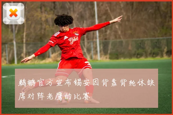 鹈鹕官方宣布锡安因背靠背轮休缺席对阵老鹰的比赛
