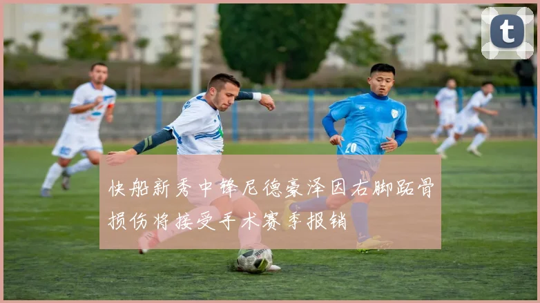 快船新秀中锋尼德豪泽因右脚跖骨损伤将接受手术赛季报销