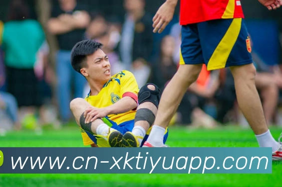 星空体育APP 封面图